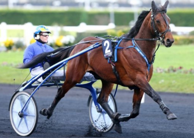 vend-ou-arrangement-saillie-THE-BEST-MADRICK