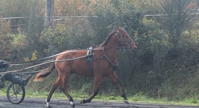 Debourrage-repos-pre-entrainement-6