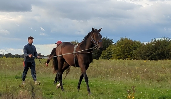 Debourrage-repos-pre-entrainement-3