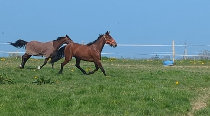 Debourrage-repos-pre-entrainement-1
