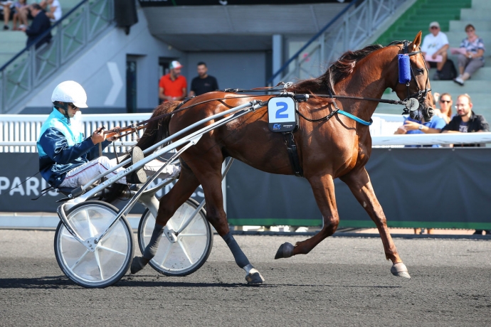 Vends-saillie-JAGUAR-GRIFF-(Love-You--Roxane-Griff-par-Tenor-de-Baune)