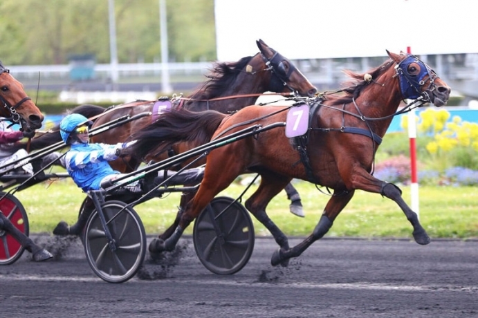 Saillie-Mat-Manathis