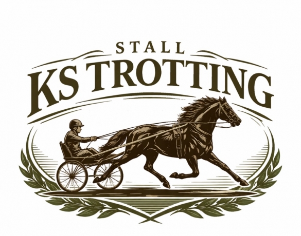 A-horse-intended-to-be-imported-to-Sweden