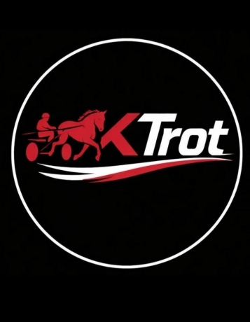 Achat-de-trotteurs-1