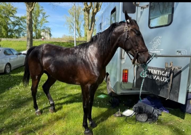 15--Lord-la-Gaucherie