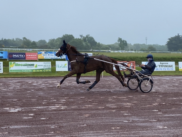 Essai-debourrage-poulains