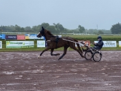 Essai-debourrage-poulains