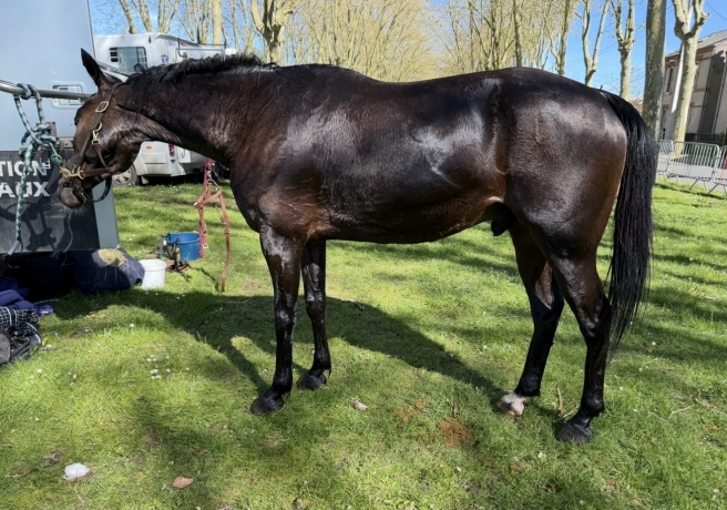 CEDE-Hongre-5-ans-« Generation-des-L »-2