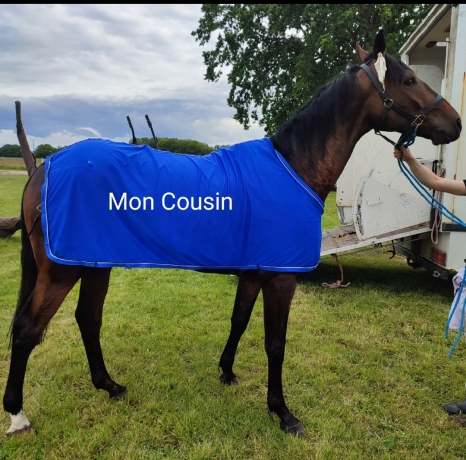 A-ceder-parts-de-trotteurs-pret-a-courir-0