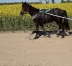 Cede-3-ans-pour-reconversion-loisirs-2