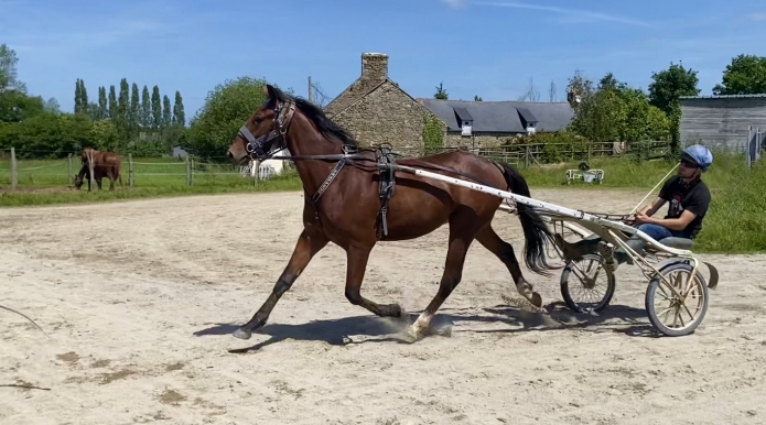Essaye-debourre-poulain