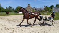 Essaye-debourre-poulain