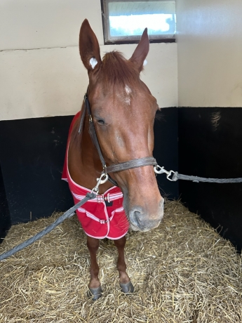 VEND-NIKITA-DE-CRENNES-INeDITE