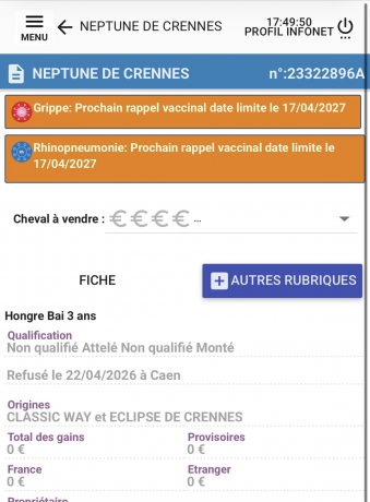 Hongre-3-ans-0