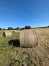 Foin-de-l--annee-2