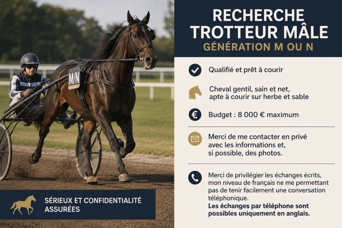 Recherche-trotteur-male-M-ou-N