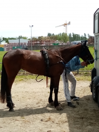 Vend-KEILA-CHOISIE-27765-de-gains-ideal-amateur
