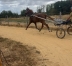 Debourrage--pre-entrainement---qualification-0