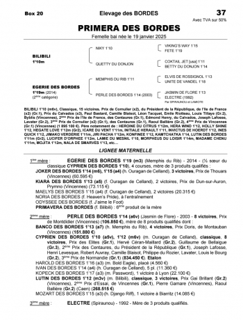Yearling-P