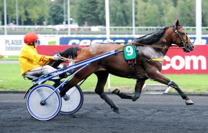 Part-etalon-Alto-de-Viette