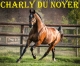 Echange-Saillie-2027-CHARLY-DU-NOYER-1
