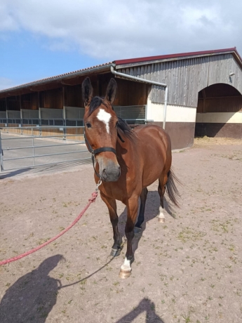 Location-Pouliniere