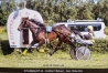 Vds-fem-K-prete-a-courir-1