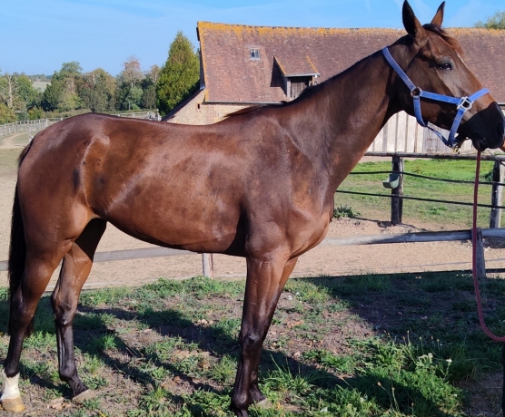 Ma-Bonne-etoile