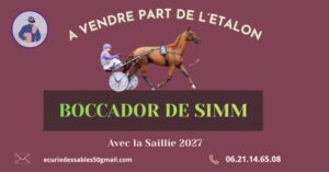 Part de Boccador de Simm