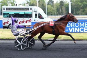 Vends part de HELGAFELL (Charly du Noyer - Baaria par Quaker Jet)