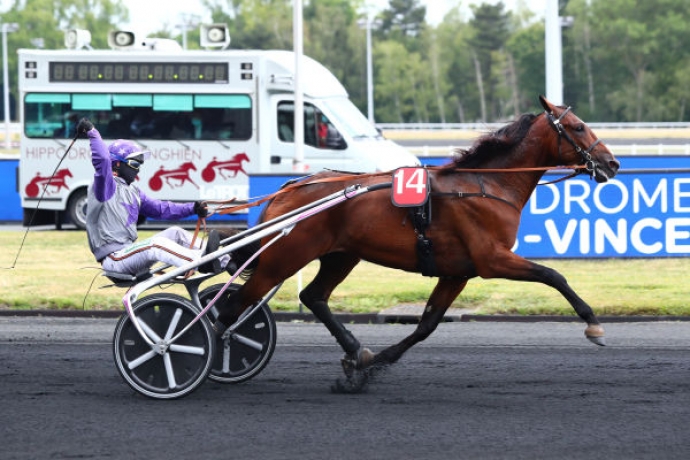 Vends part de HELGAFELL (Charly du Noyer - Baaria par Quaker Jet)