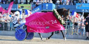 Saillie Horsy Dream 2027
